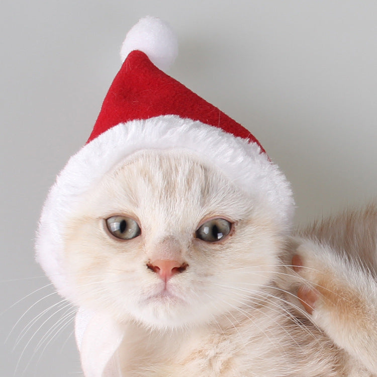 Elf Hat & Christmas Scarf for Cats and Dogs – Cute Holiday Costume | Trendora UK