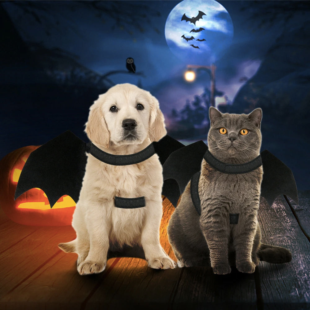 Halloween Pet Bat Wings Costume for Cats & Dogs – Funny and Adorable Halloween Outfit